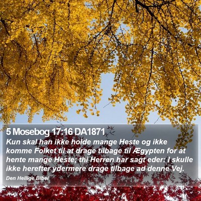 5 Mosebog 17:16 DA1871 Bible Verse Image