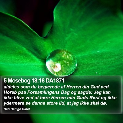 5 Mosebog 18:16 DA1871 Bible Verse Image