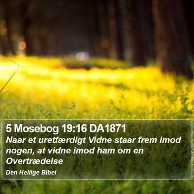 5 Mosebog 19:16 DA1871 Bible Verse Image