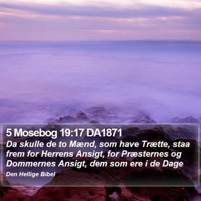 5 Mosebog 19:17 DA1871 Bible Verse Image