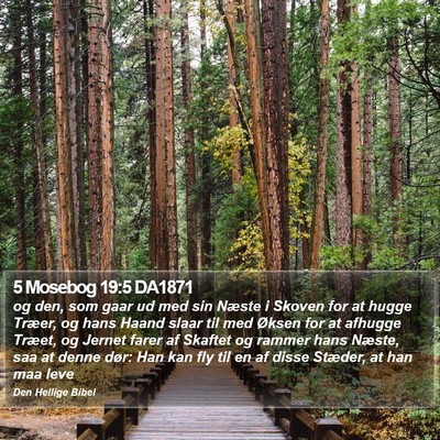 5 Mosebog 19:5 DA1871 Bible Verse Image