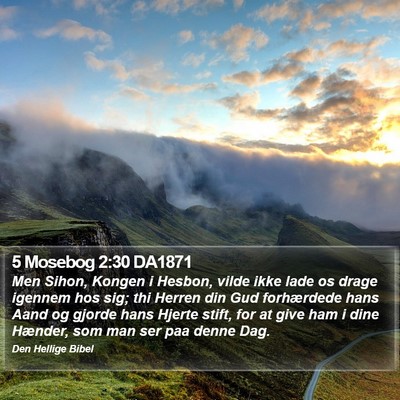 5 Mosebog 2:30 DA1871 Bible Verse Image