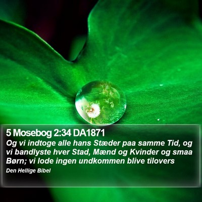 5 Mosebog 2:34 DA1871 Bible Verse Image