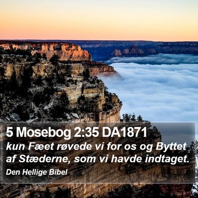 5 Mosebog 2:35 DA1871 Bible Verse Image
