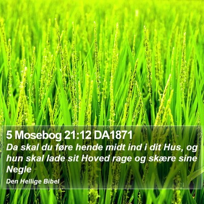 5 Mosebog 21:12 DA1871 Bible Verse Image