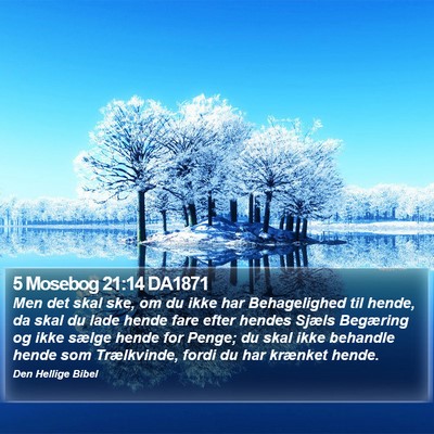 5 Mosebog 21:14 DA1871 Bible Verse Image
