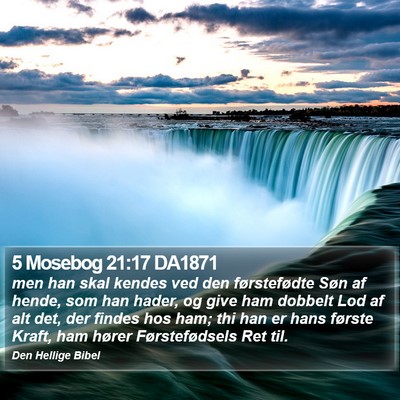 5 Mosebog 21:17 DA1871 Bible Verse Image