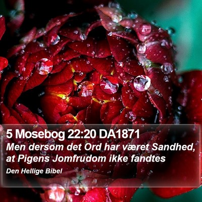 5 Mosebog 22:20 DA1871 Bible Verse Image