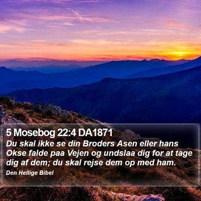 5 Mosebog 22:4 DA1871 Bible Verse Image