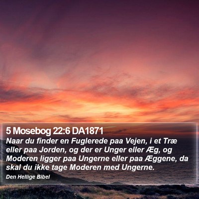 5 Mosebog 22:6 DA1871 Bible Verse Image