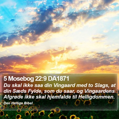 5 Mosebog 22:9 DA1871 Bible Verse Image