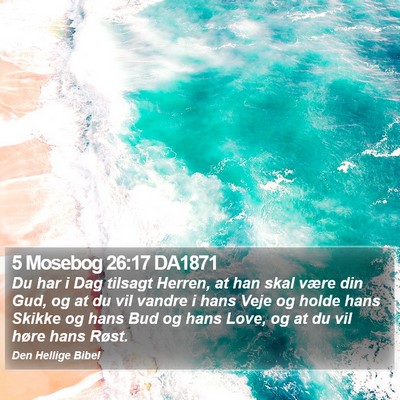 5 Mosebog 26:17 DA1871 Bible Verse Image