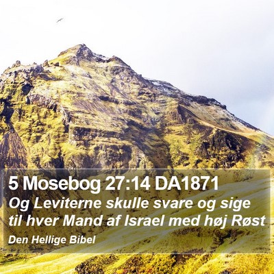 5 Mosebog 27:14 DA1871 Bible Verse Image