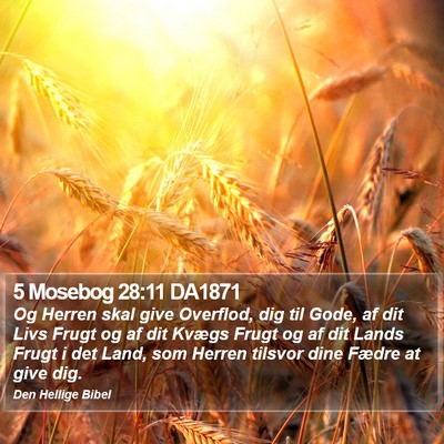 5 Mosebog 28:11 DA1871 Bible Verse Image