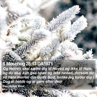 5 Mosebog 28:13 DA1871 Bible Verse Image