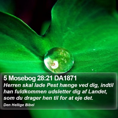 5 Mosebog 28:21 DA1871 Bible Verse Image