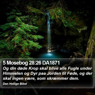 5 Mosebog 28:26 DA1871 Bible Verse Image