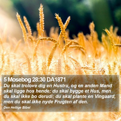 5 Mosebog 28:30 DA1871 Bible Verse Image