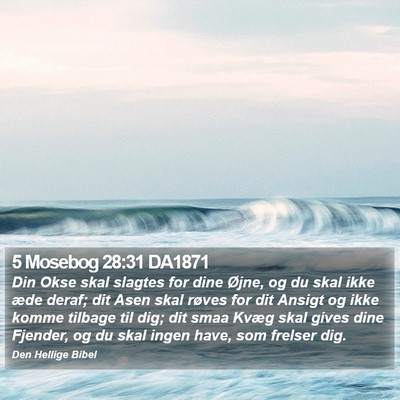 5 Mosebog 28:31 DA1871 Bible Verse Image