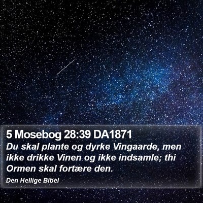 5 Mosebog 28:39 DA1871 Bible Verse Image
