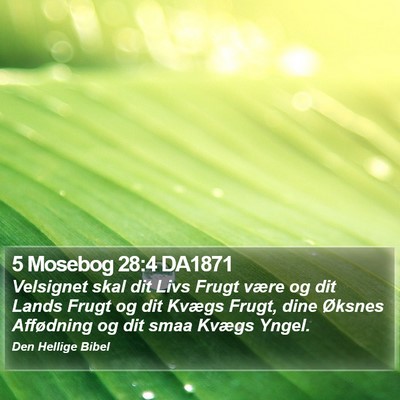 5 Mosebog 28:4 DA1871 Bible Verse Image