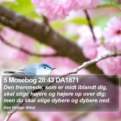 5 Mosebog 28:43 DA1871 Bible Verse Image