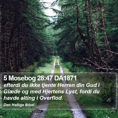 5 Mosebog 28:47 DA1871 Bible Verse Image