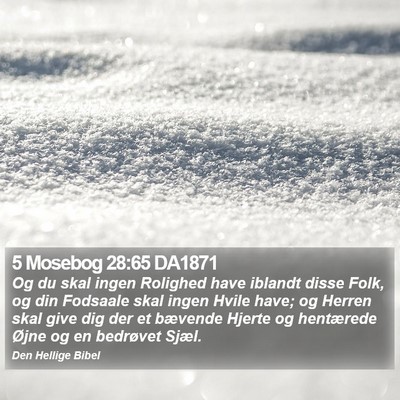 5 Mosebog 28:65 DA1871 Bible Verse Image
