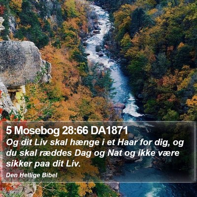 5 Mosebog 28:66 DA1871 Bible Verse Image