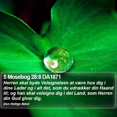 5 Mosebog 28:8 DA1871 Bible Verse Image