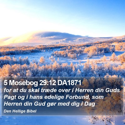 5 Mosebog 29:12 DA1871 Bible Verse Image