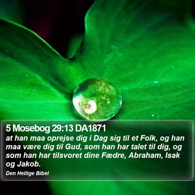 5 Mosebog 29:13 DA1871 Bible Verse Image