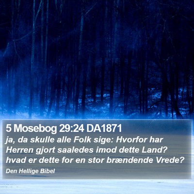 5 Mosebog 29:24 DA1871 Bible Verse Image