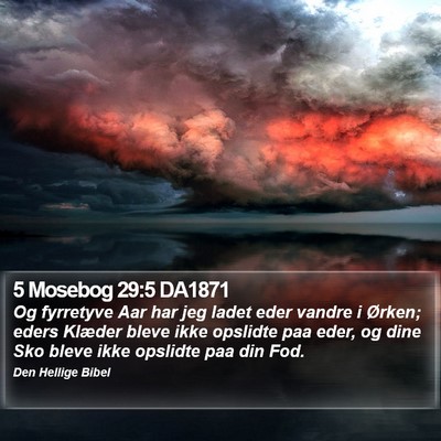 5 Mosebog 29:5 DA1871 Bible Verse Image