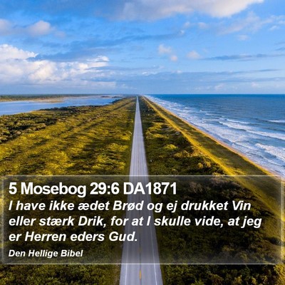 5 Mosebog 29:6 DA1871 Bible Verse Image