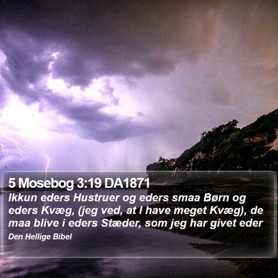 5 Mosebog 3:19 DA1871 Bible Verse Image