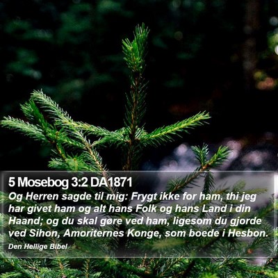 5 Mosebog 3:2 DA1871 Bible Verse Image
