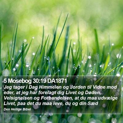 5 Mosebog 30:19 DA1871 Bible Verse Image