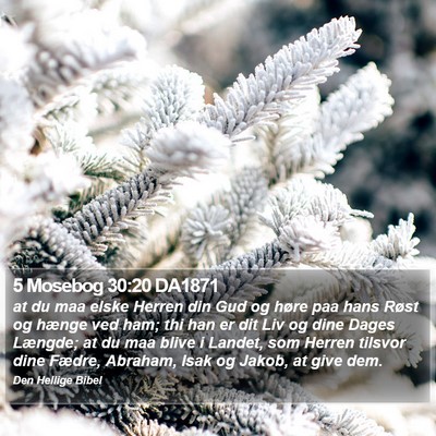 5 Mosebog 30:20 DA1871 Bible Verse Image