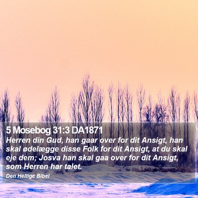 5 Mosebog 31:3 DA1871 Bible Verse Image