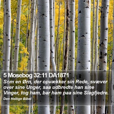 5 Mosebog 32:11 DA1871 Bible Verse Image