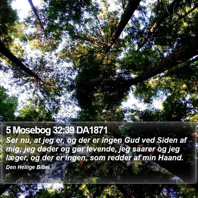 5 Mosebog 32:39 DA1871 Bible Verse Image