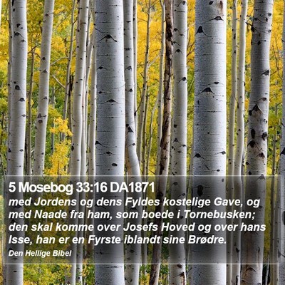 5 Mosebog 33:16 DA1871 Bible Verse Image