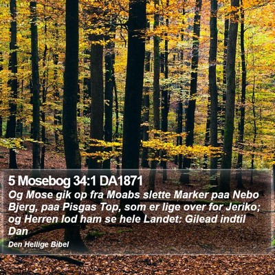 5 Mosebog 34:1 DA1871 Bible Verse Image