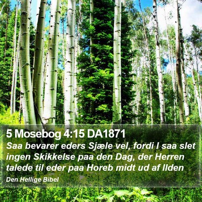 5 Mosebog 4:15 DA1871 Bible Verse Image