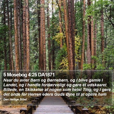 5 Mosebog 4:25 DA1871 Bible Verse Image