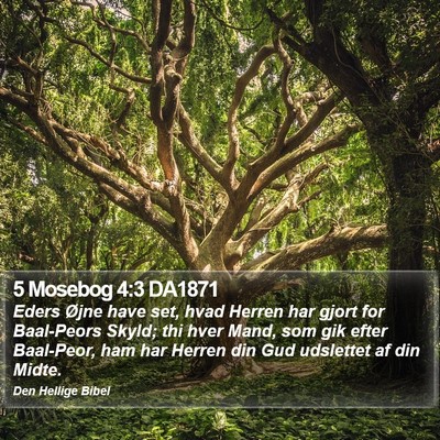 5 Mosebog 4:3 DA1871 Bible Verse Image