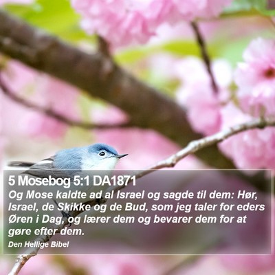 5 Mosebog 5:1 DA1871 Bible Verse Image