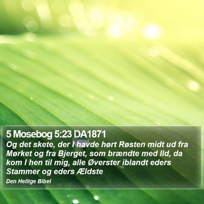 5 Mosebog 5:23 DA1871 Bible Verse Image