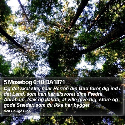 5 Mosebog 6:10 DA1871 Bible Verse Image